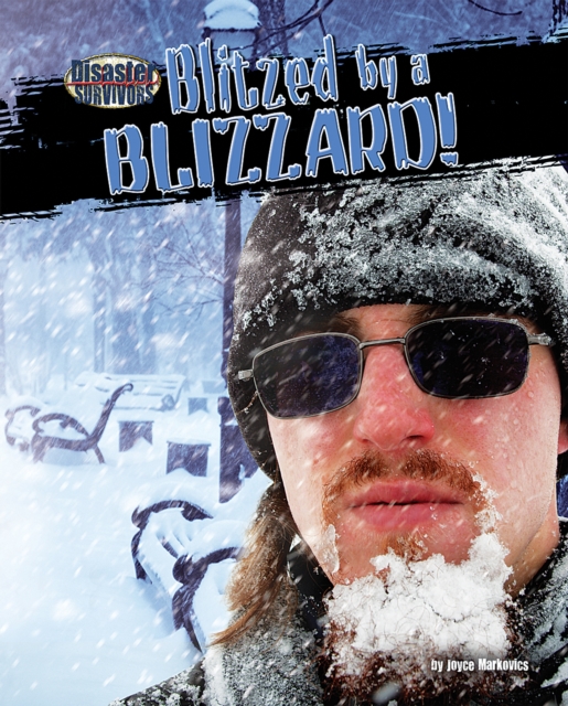 Blitzed by a Blizzard!, PDF eBook