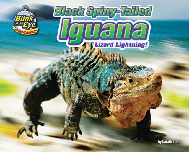 Black Spiny-Tailed Iguana, PDF eBook
