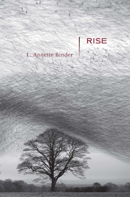Rise, EPUB eBook