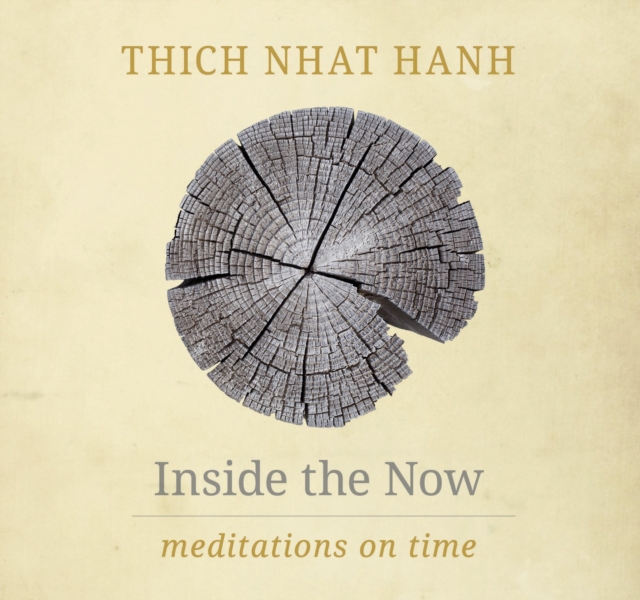 Inside the Now : Meditations on Time, Hardback Book