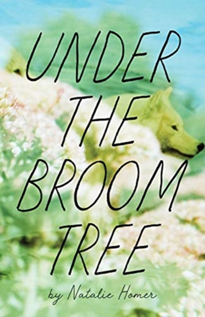 Under the Broom Tree, Paperback / softback Book