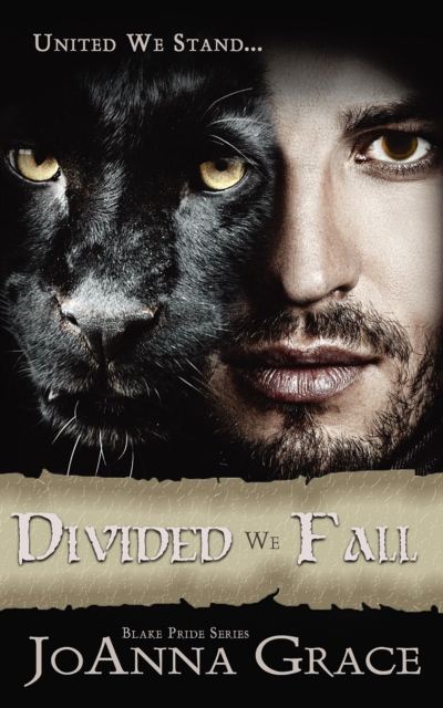 Divided We Fall, EPUB eBook