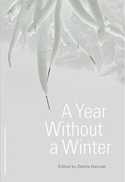 A Year Without a Winter, Paperback / softback Book