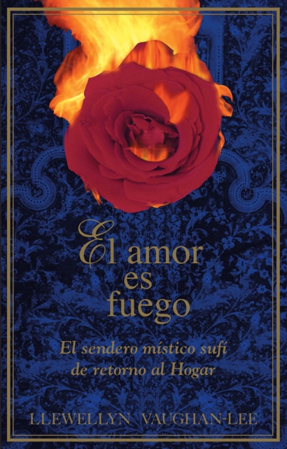 amor es fuego, EPUB eBook