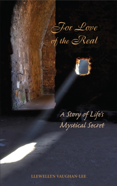 For Love of the Real, PDF eBook