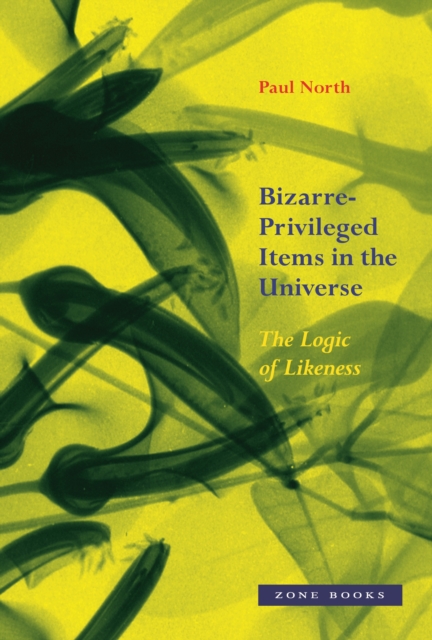 Bizarre-Privileged Items in the Universe : The Logic of Likeness, EPUB eBook
