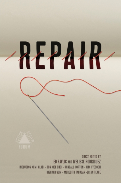 Repair, Paperback / softback Book