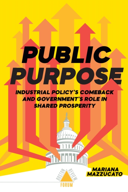 Public Purpose, EPUB eBook