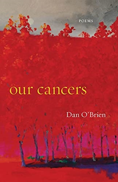 Our Cancers : Poems, Paperback / softback Book