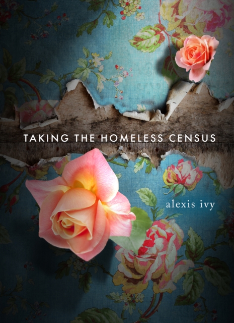 Taking the Homeless Census, EPUB eBook