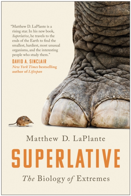 Superlative, EPUB eBook