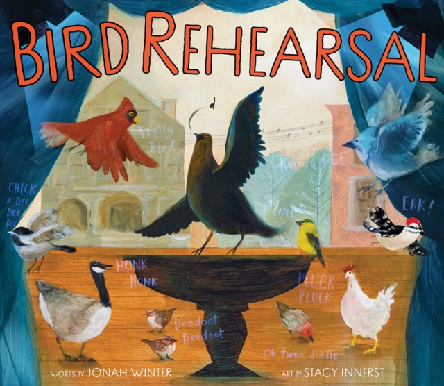 Bird Rehearsal : A Picture Book, Hardback Book