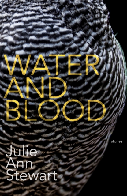 Water and Blood, Paperback / softback Book