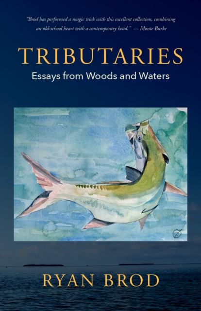 Tributaries : Essays from Woods and Waters, EPUB eBook