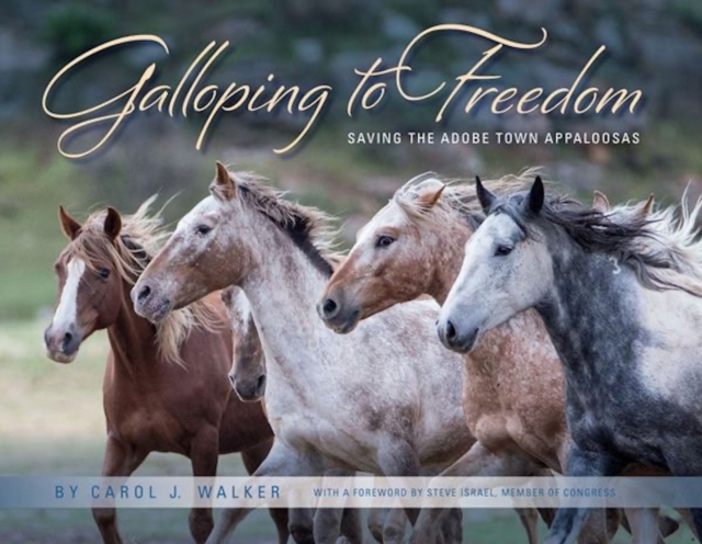 Galloping to Freedom : Saving the Adobe Town Appaloosas, Hardback Book