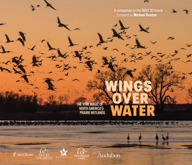 Wings Over Water : The Vital Magic of North America’s Prairie Wetlands, Hardback Book
