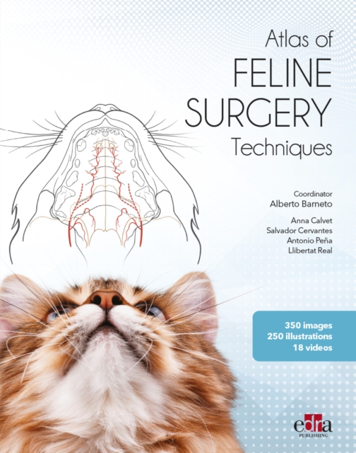 Feline surgery, Hardback Book