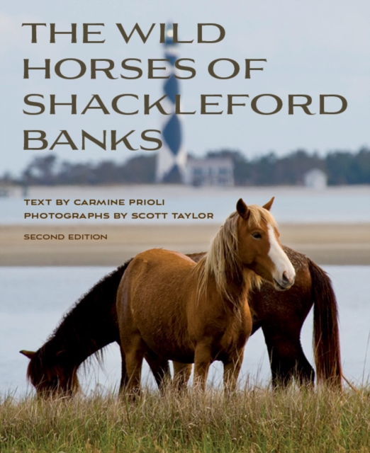Wild Horses of Shackleford Banks, Paperback / softback Book