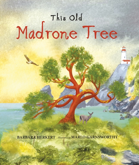 This Old Madrone Tree, Hardback Book