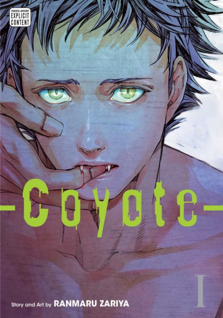 Coyote, Vol. 1, Paperback / softback Book