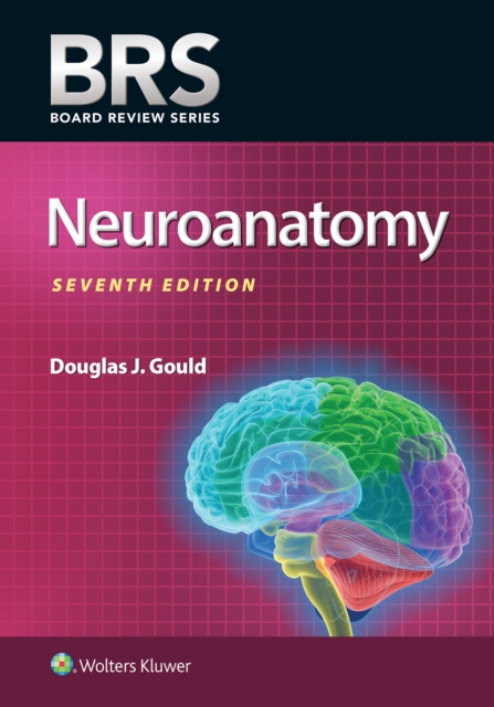 BRS Neuroanatomy, Paperback / softback Book