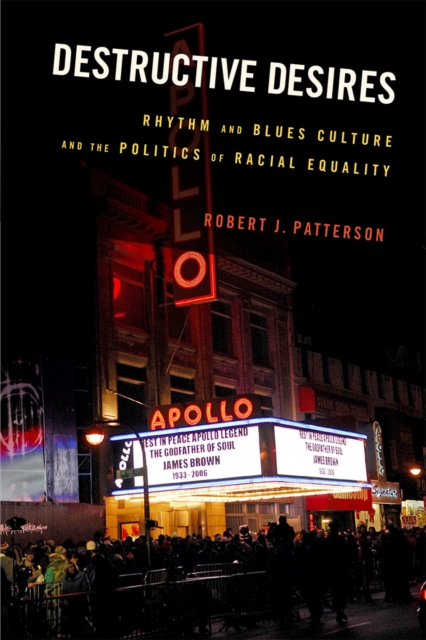 Destructive Desires : Rhythm and Blues Culture and the Politics of Racial Equality, PDF eBook