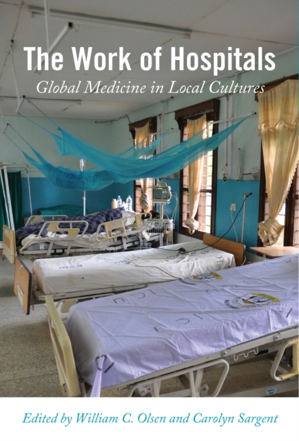 The Work of Hospitals : Global Medicine in Local Cultures, PDF eBook