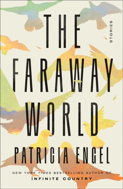 The Faraway World : Stories, Hardback Book
