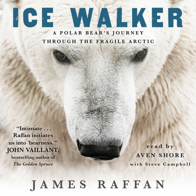 Ice Walker : A Polar Bear's Journey through the Fragile Arctic, eAudiobook MP3 eaudioBook