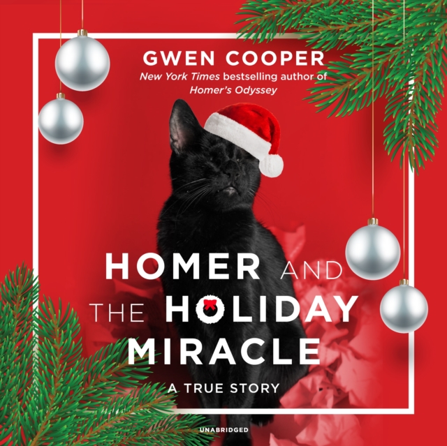 Homer and the Holiday Miracle, eAudiobook MP3 eaudioBook