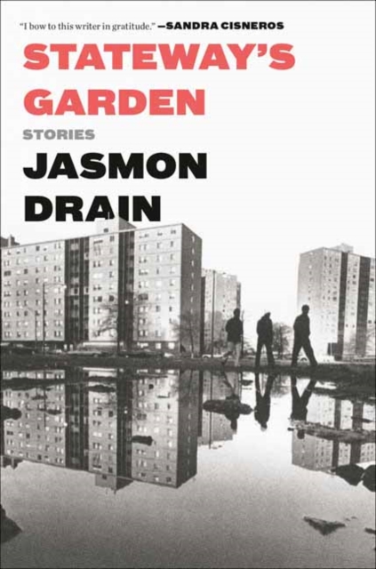Stateway's Garden : Stories, Paperback / softback Book