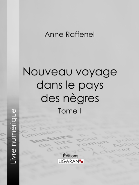 Nouveau voyage dans le pays des negres, EPUB eBook