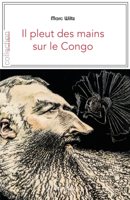 Il pleut des mains sur le Congo : Contexte et temoignages sur la periode coloniale, EPUB eBook