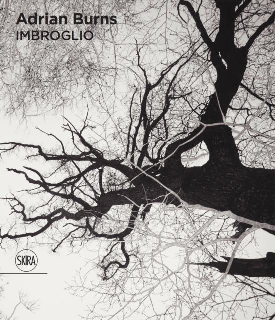 Adrian Burns (Bilingual edition) : Imbroglio, Paperback / softback Book
