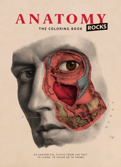 Anatomy Rocks: The Coloring Book, Hardback Book
