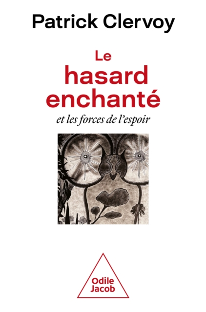 Le Hasard enchante, EPUB eBook