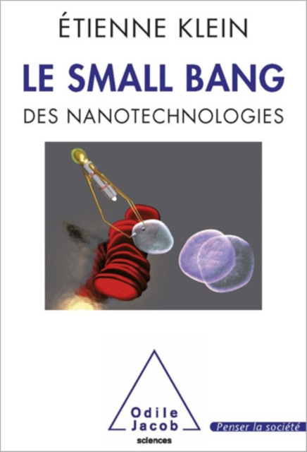 Le Small Bang : des nanotechnologies, EPUB eBook