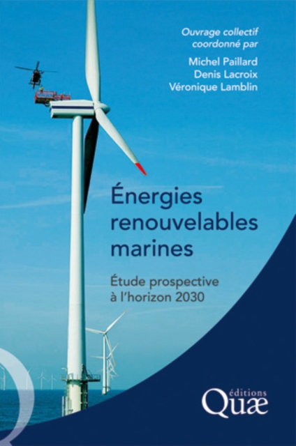 Energies renouvelables marines : Etude prospective a l'horizon 2030, EPUB eBook