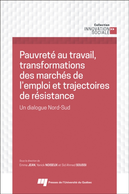 Pauvrete au travail, transformations des marches de l'emploi et trajectoires de resistance : Un dialogue Nord-Sud, EPUB eBook