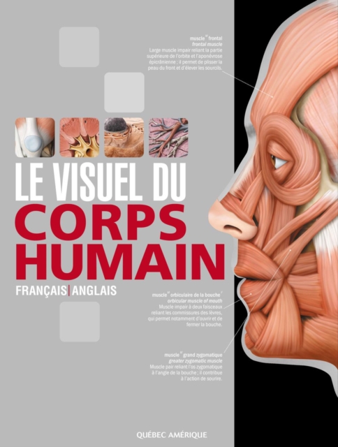 Le Visuel du corps humain : Francais/Anglais, PDF eBook
