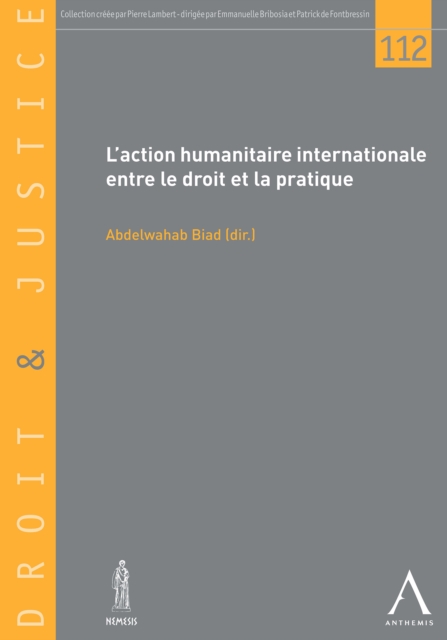 L'action humanitaire internationale entre le droit et la pratique, EPUB eBook