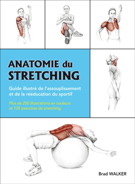 Anatomie du Stretching, PDF eBook