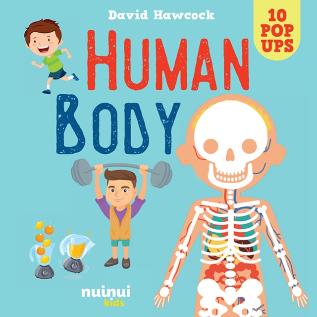 Human Body, Hardback Book