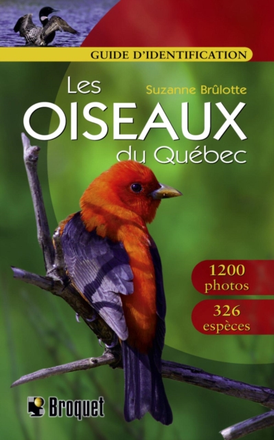 Les oiseaux du Quebec - Guide d'identification : Guide d'identification, PDF eBook