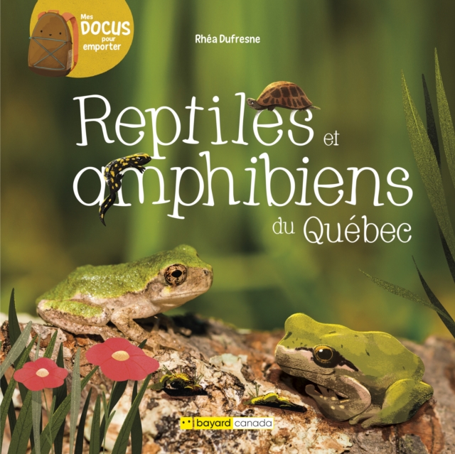 Reptiles et amphibiens du Quebec, PDF eBook