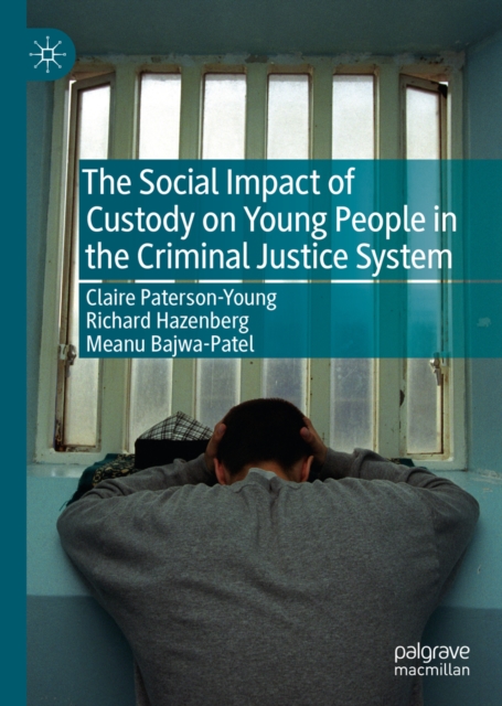 The Social Impact of Custody on Young People in the Criminal Justice System, EPUB eBook