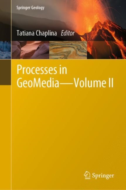 Processes in GeoMedia - Volume II, EPUB eBook