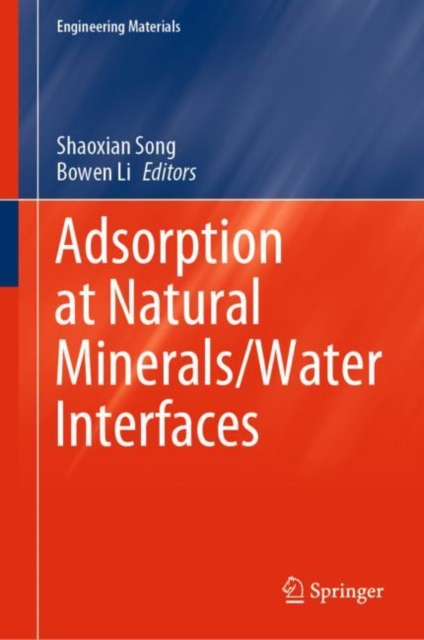 Adsorption at Natural Minerals/Water Interfaces, EPUB eBook