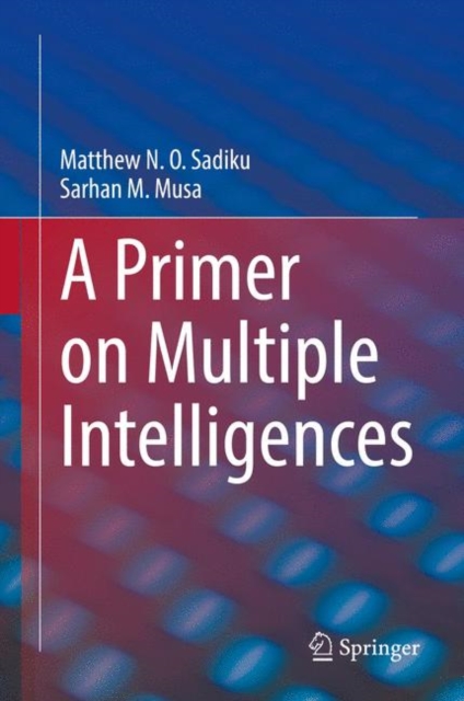 A Primer on Multiple Intelligences, EPUB eBook