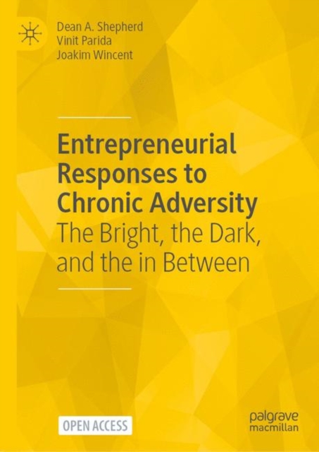 Entrepreneurial Responses to Chronic Adversity : The Bright, the Dark, and the in Between, EPUB eBook